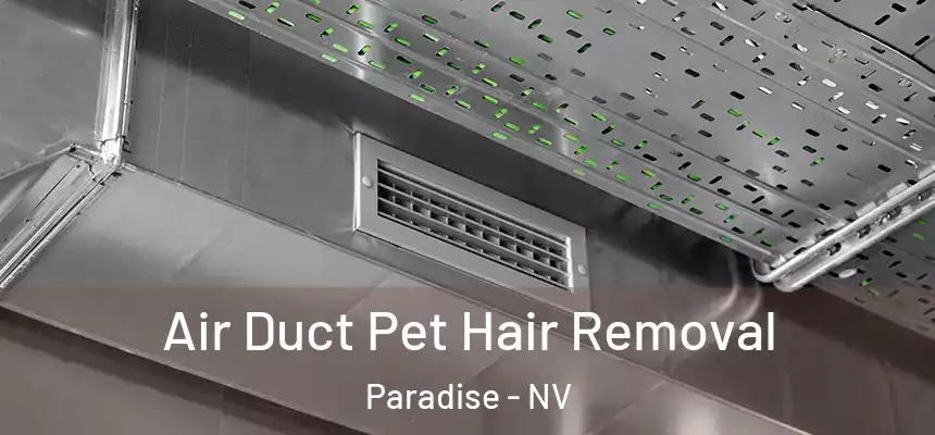 Air Duct Pet Hair Removal Paradise - NV