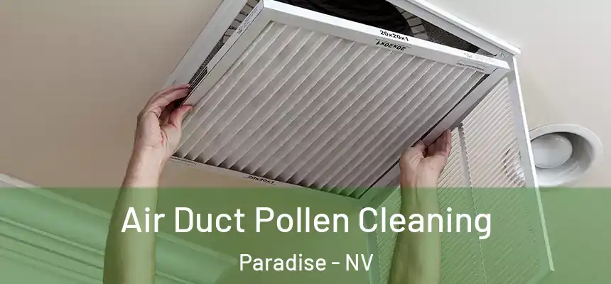 Air Duct Pollen Cleaning Paradise - NV