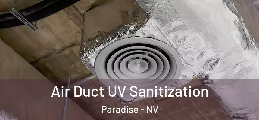 Air Duct UV Sanitization Paradise - NV