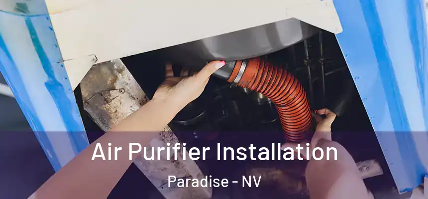Air Purifier Installation Paradise - NV