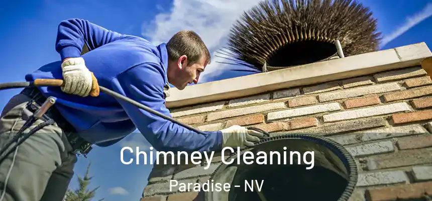 Chimney Cleaning Paradise - NV