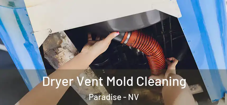 Dryer Vent Mold Cleaning Paradise - NV