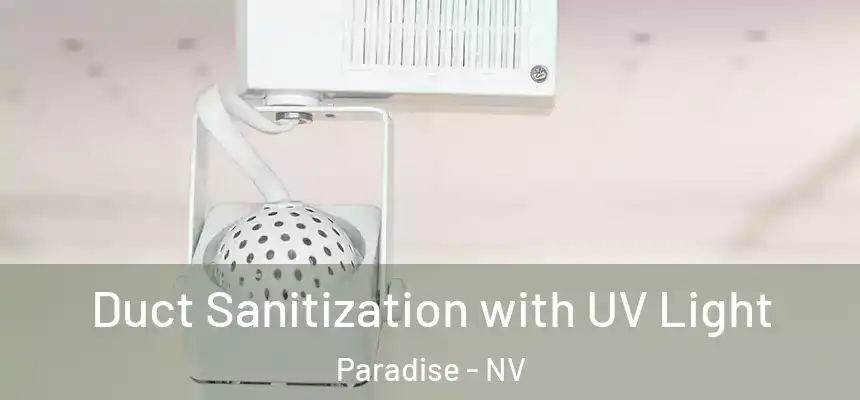 Duct Sanitization with UV Light Paradise - NV