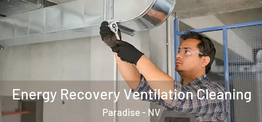 Energy Recovery Ventilation Cleaning Paradise - NV