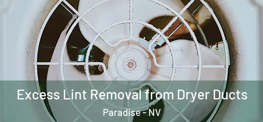 Excess Lint Removal from Dryer Ducts Paradise - NV