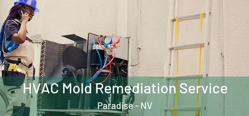  HVAC Mold Remediation Service Paradise - NV