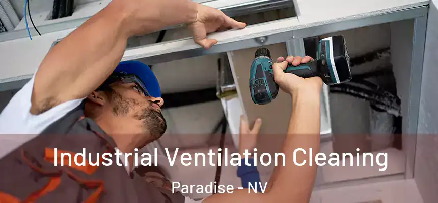 Industrial Ventilation Cleaning Paradise - NV