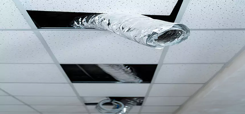 Our Air Duct Pet Hair Removal Services in Paradise, NV