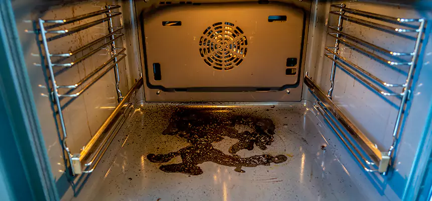 Our Dryer Vent Mold Cleaning Services in Paradise, NV