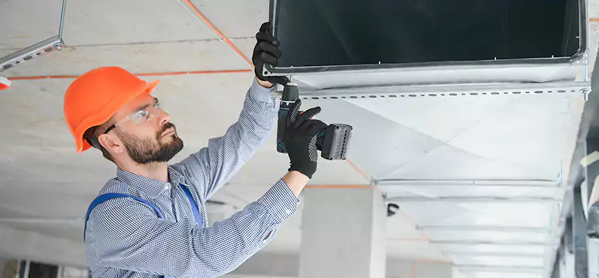 Roof Cap & Exterior Hood Lint Buildup Removal – Paradise