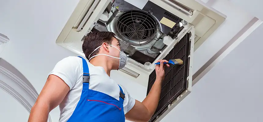 Our Move-in/Move-out Duct Cleaning Services in Paradise, NV