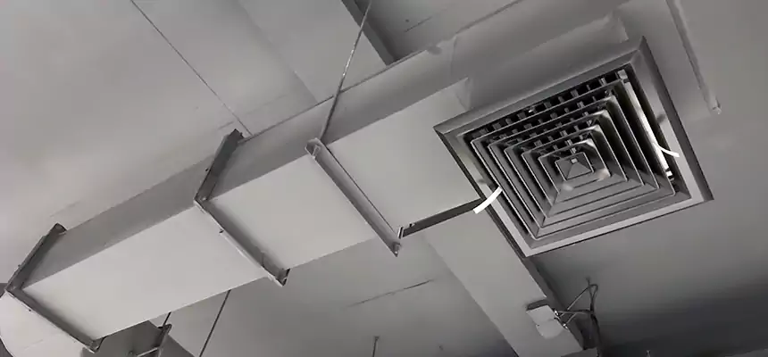 Our Pest Removal From Ducts Services in Paradise, NV