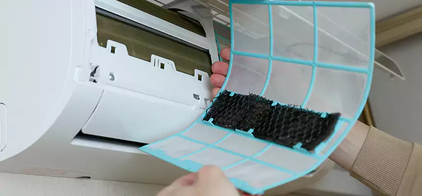 Gentle Ductwork Odor-Control Pet Dander Duct Cleaning in Paradise, NV