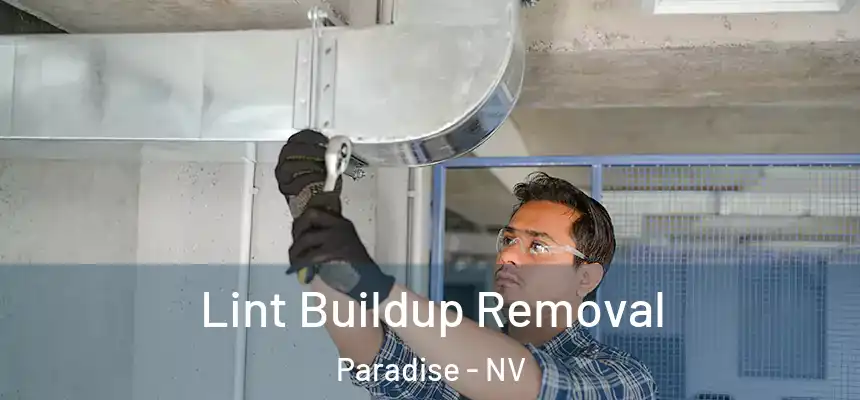 Lint Buildup Removal Paradise - NV