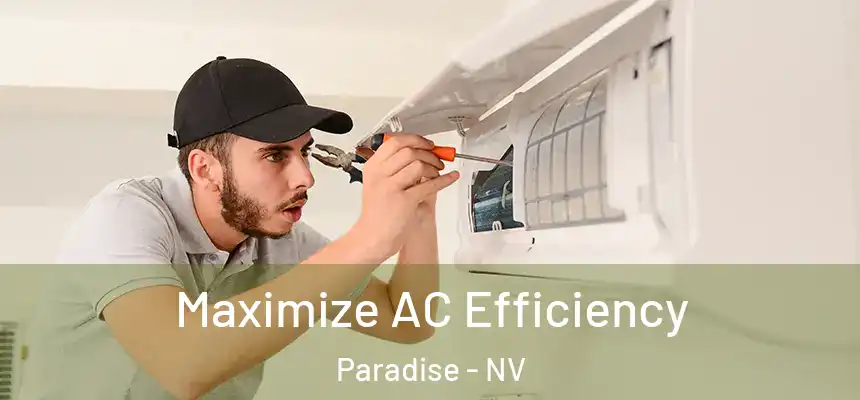 Maximize AC Efficiency Paradise - NV