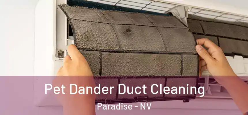 Pet Dander Duct Cleaning Paradise - NV