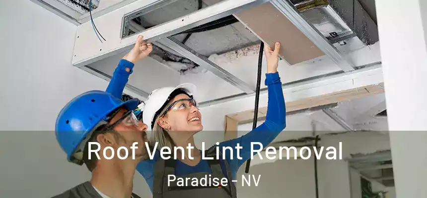 Roof Vent Lint Removal Paradise - NV