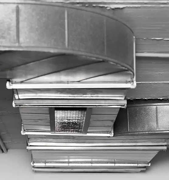 Professional Air Duct Pest Removal in Paradise, NV