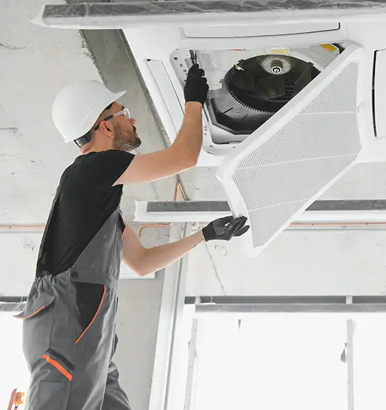 About Air Duct Rodent Removal in Paradise, NV