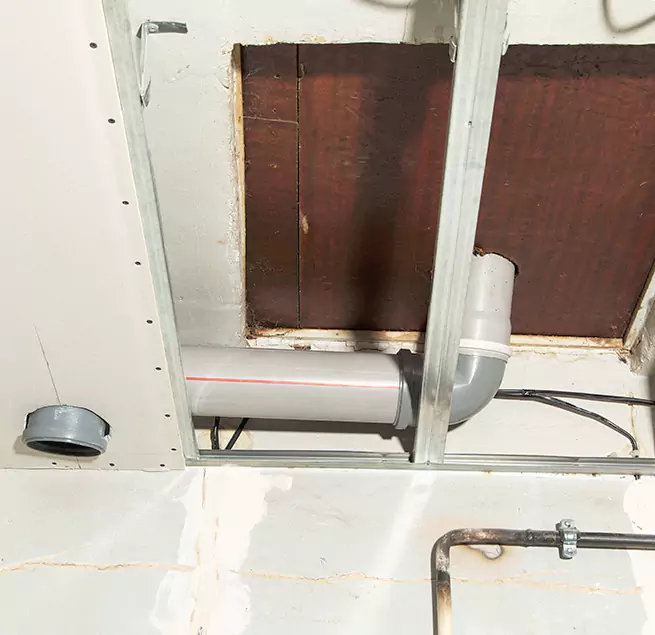 Why Homeowners & Businesses Trust Us in Paradise, NV?