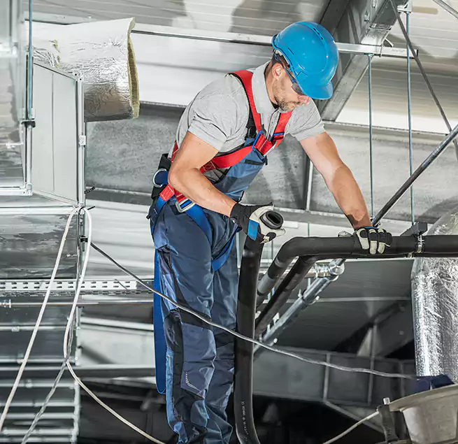 Why Homeowners & Businesses Trust Us in Paradise, NV?