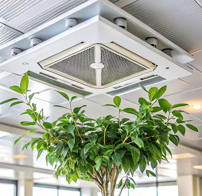 Why Homeowners & Businesses Trust Us in Paradise, NV