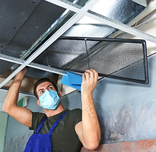 Why Homeowners & Businesses Trust Us in Paradise, NV?