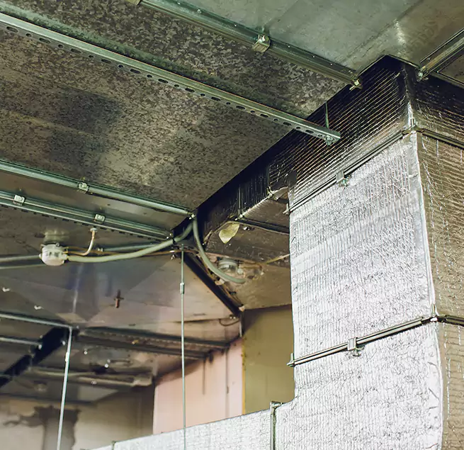 Why Homeowners & Businesses Trust Us in Paradise, NV?