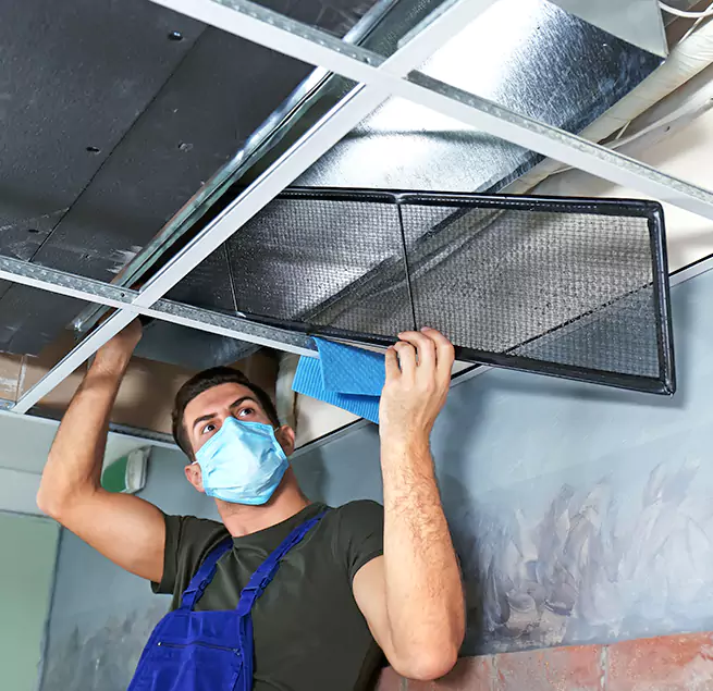 Why Homeowners & Businesses Trust Us in Paradise, NV?