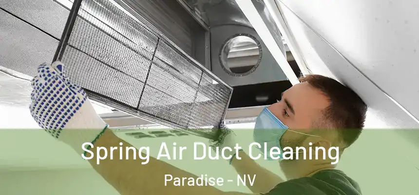 Spring Air Duct Cleaning Paradise - NV