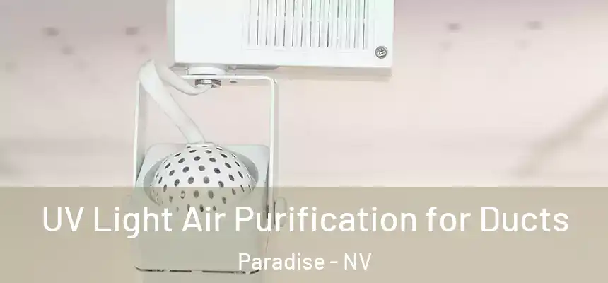 UV Light Air Purification for Ducts Paradise - NV
